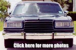 Click here for more photos