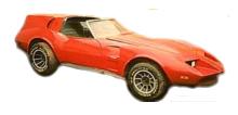 Vette guy
